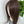 Load image into Gallery viewer, 9x13cm Butterfly hairnet based human hair toppers with 4 clips, for women thin hair or hair loss