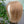 Load image into Gallery viewer, The natural realistic breathable bottom mesh 10/16 human hair topper for women with thinning hair 10 inch hair let top of your head fluffy
